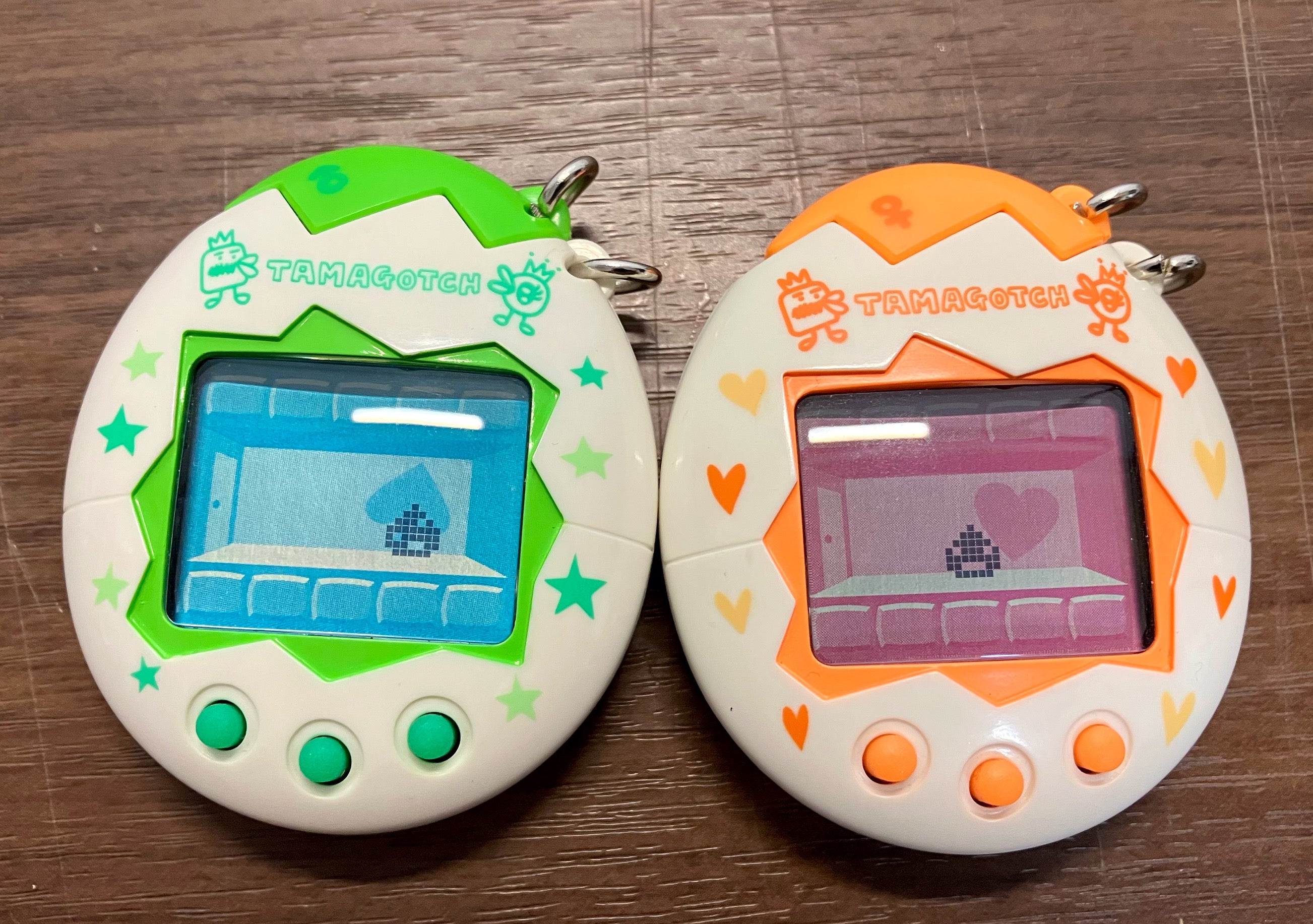 オスっちメスっち】育成開始 | たまラボ