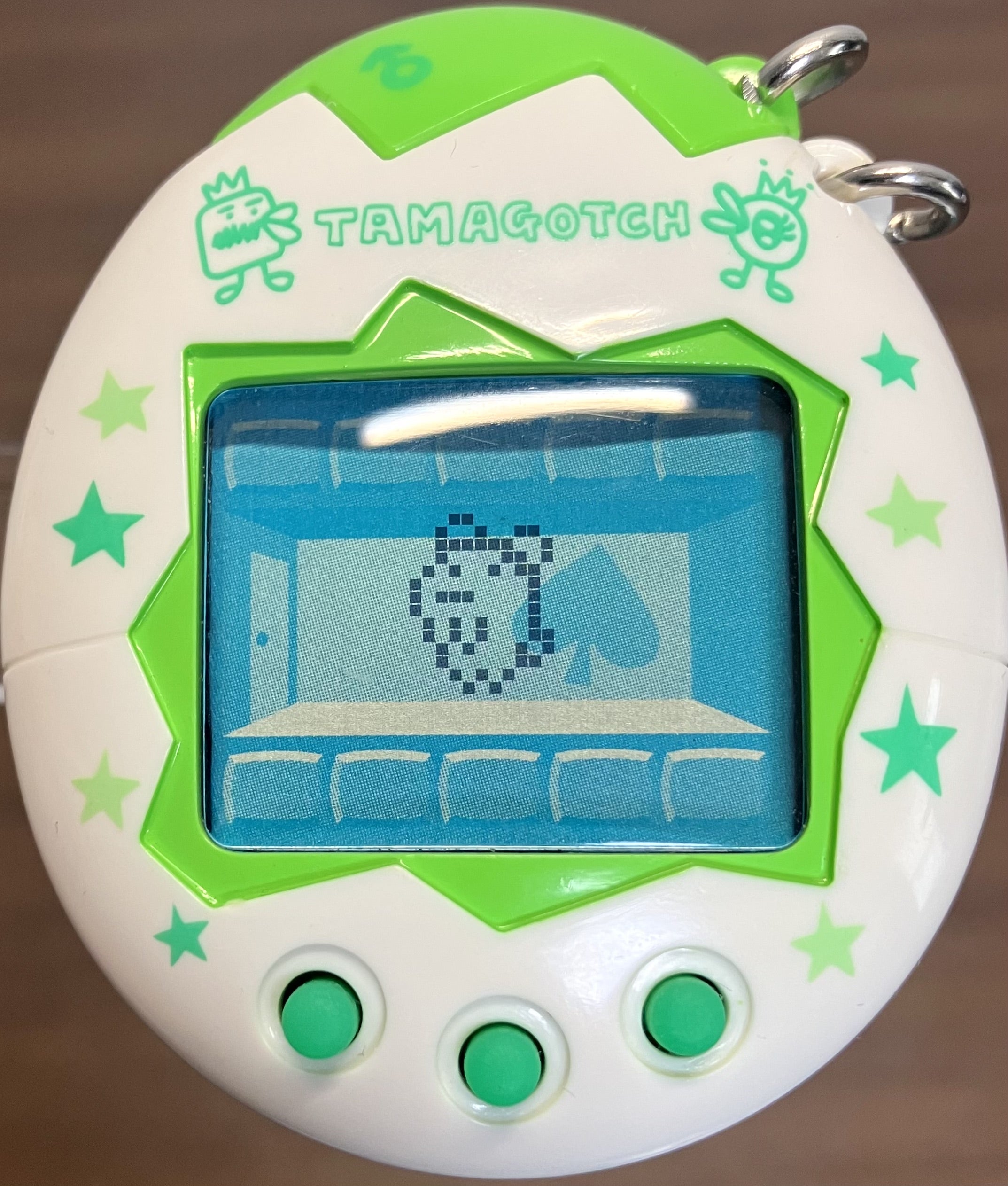 オスっちメスっち】初ブリード | たまラボ