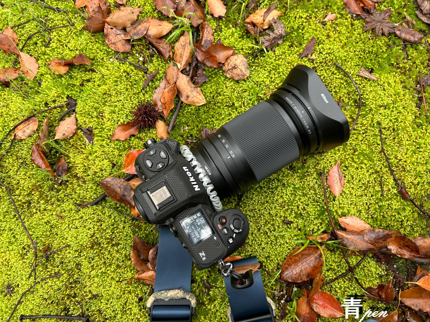 春日公園 4/22 「Z28-400mm」試写！ Z8+Z28-400 | 野鳥と遊ぶ❗️福岡