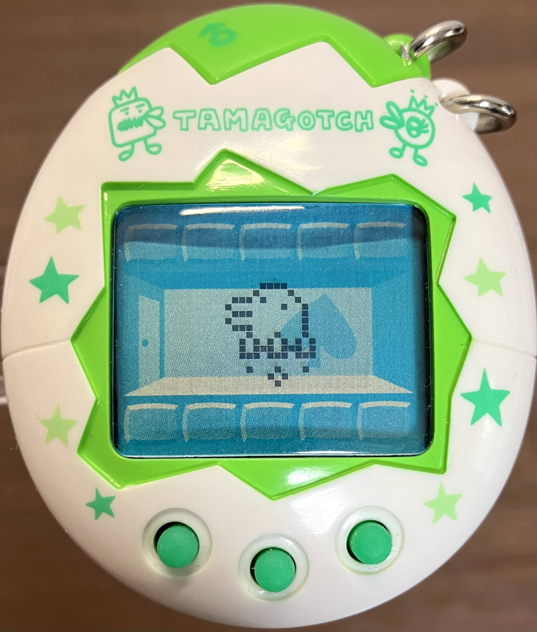 オスっちメスっち】2世代目 | たまラボ