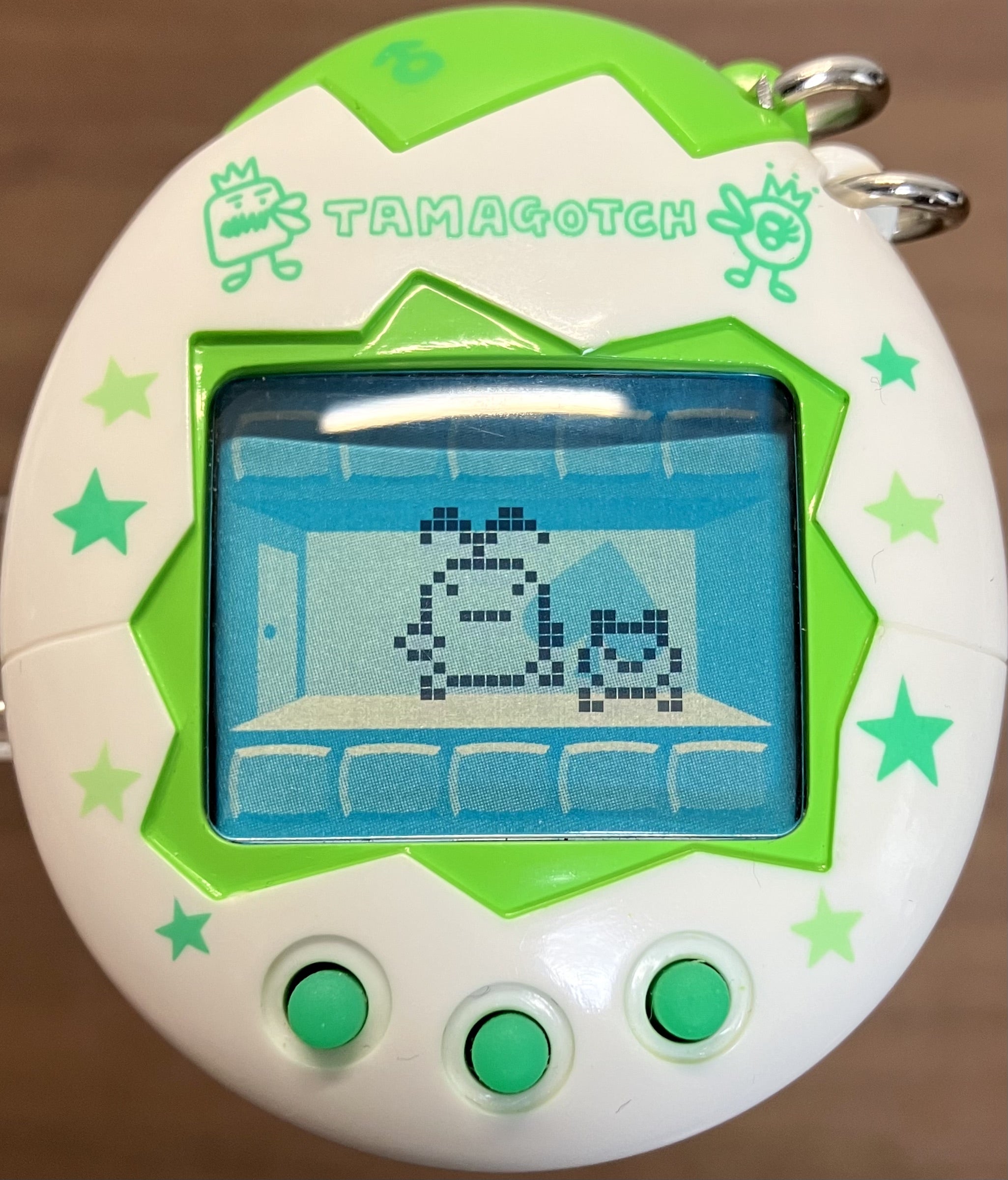 オスっちメスっち】3世代目 | たまラボ