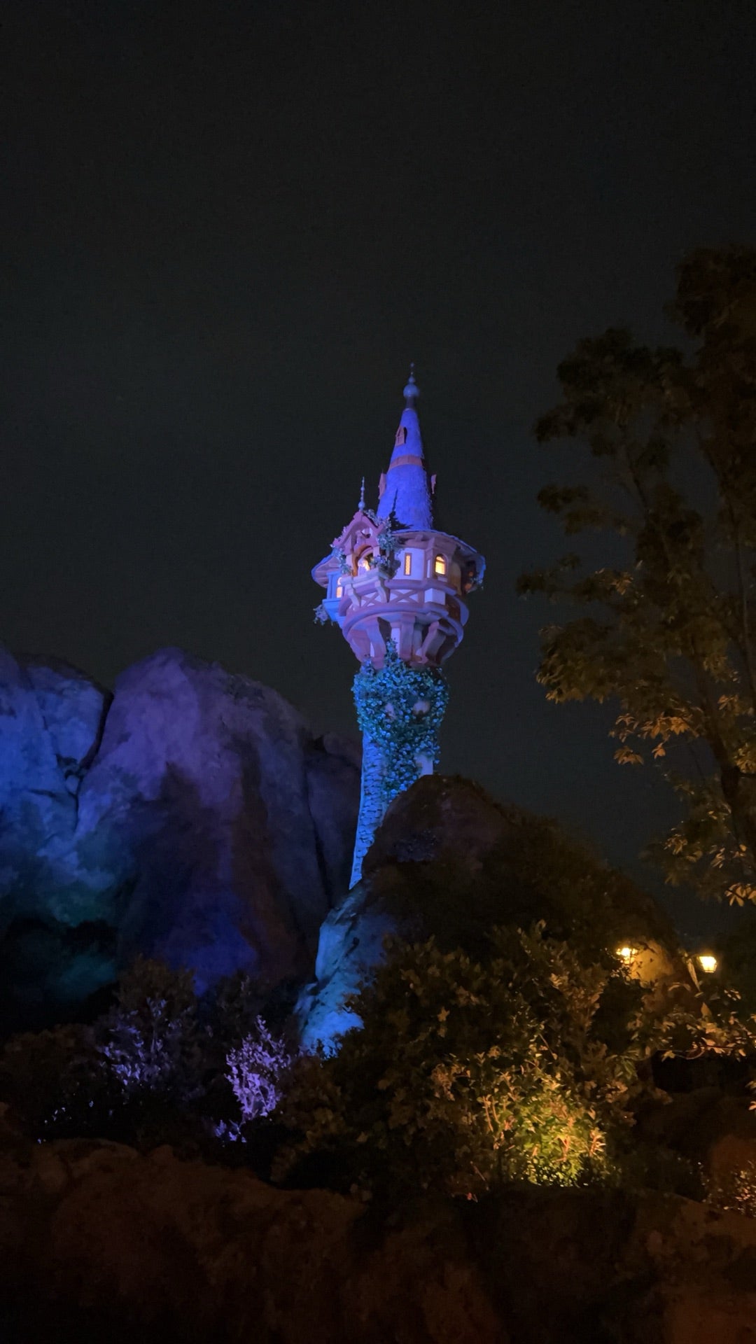 アマチャズルフェンネル．ラー、ネフェルタリ(青)、ラプンツェル 夏