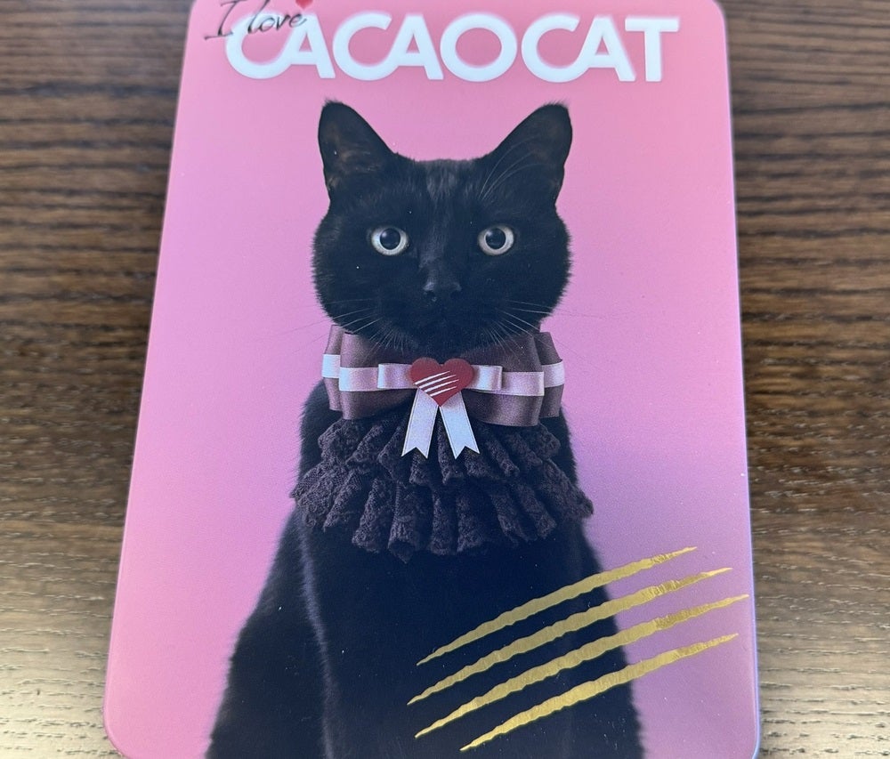 倉敷旅行の時に買ったチョコ「CACAOCAT」 | 透析してても旅行に行きたい♪