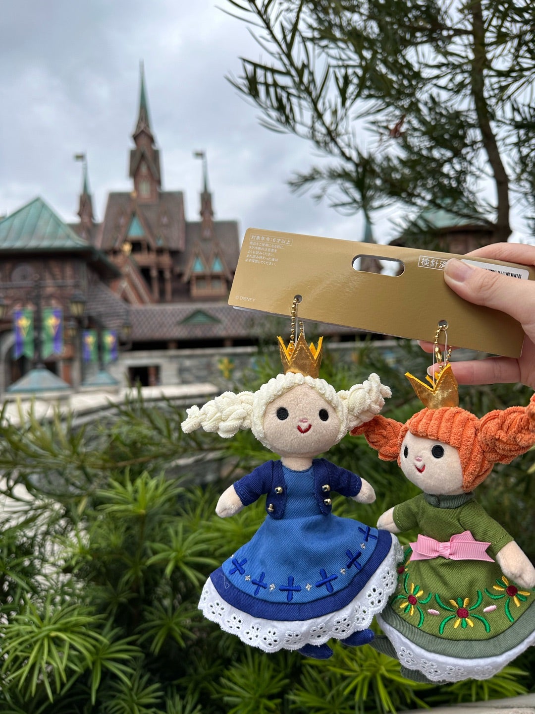 TDSアトラクションにも出てくるアナ雪の… | ☆やまあこ☆さんの