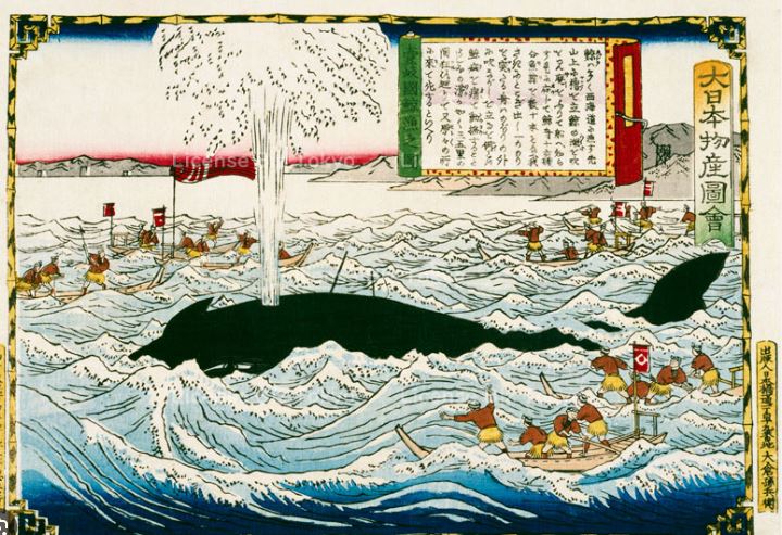 浮世絵風　鯨歯　彫刻 72g 浮世絵風 鯨歯 彫刻 72g