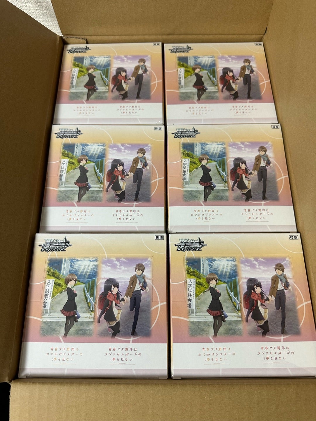 PSA10】サイン入り君と過ごした一年間 桜島 麻衣 ヴァイス 青ブタ ABR