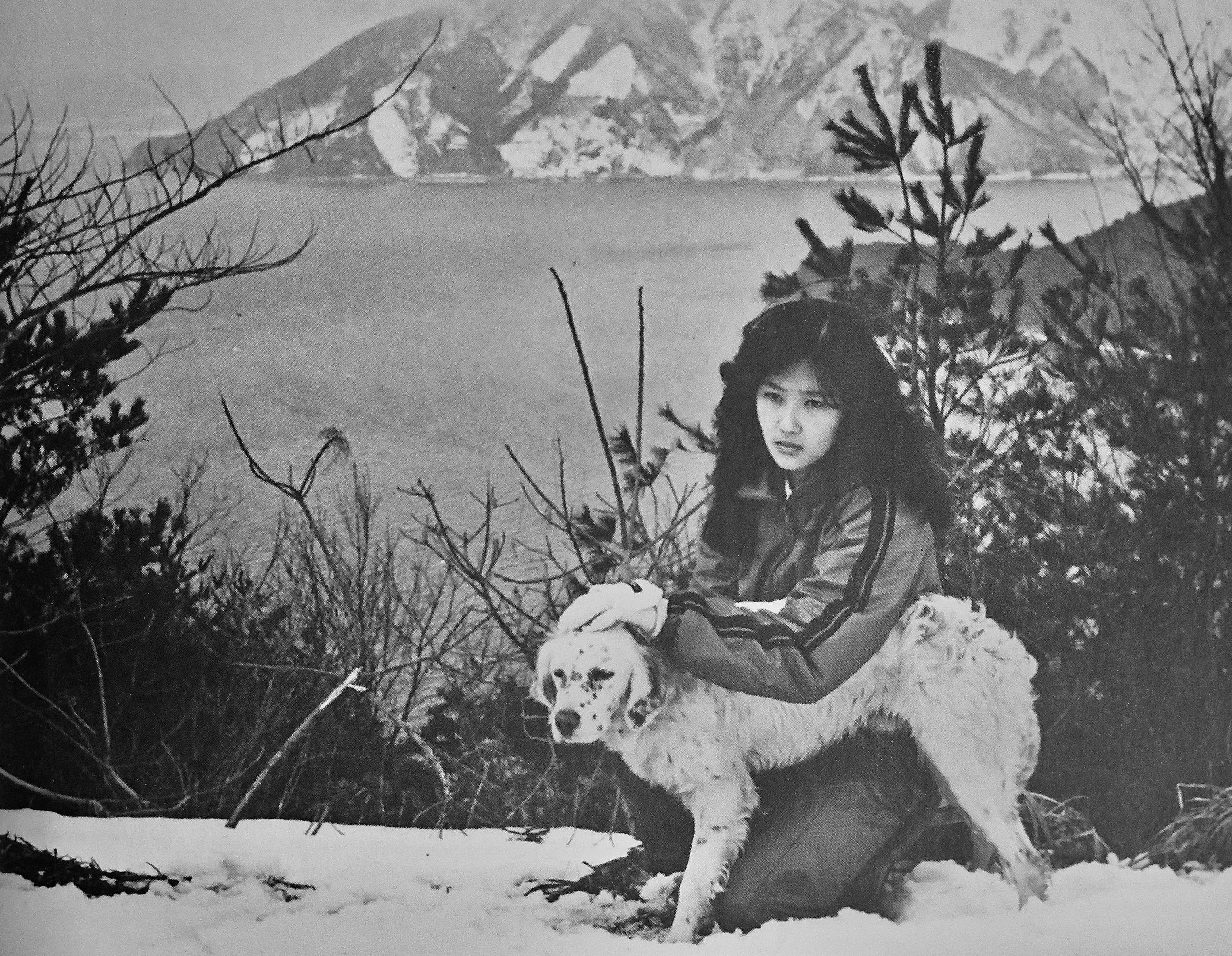 幻の湖」を観る | Takashi's Cafe