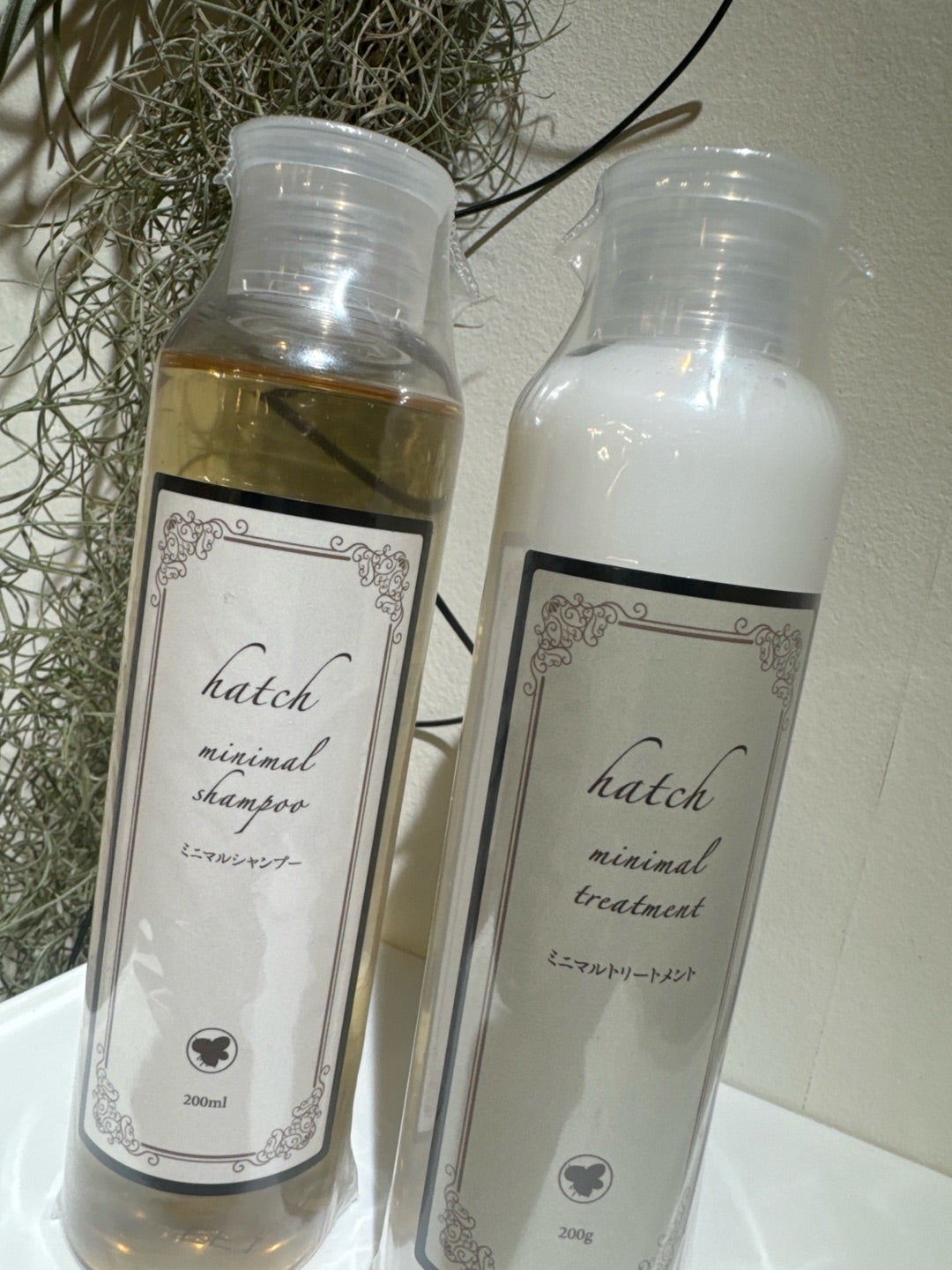 ミニマルシャンプー（2024/07/04追記） | 美容室JUSTのブログ