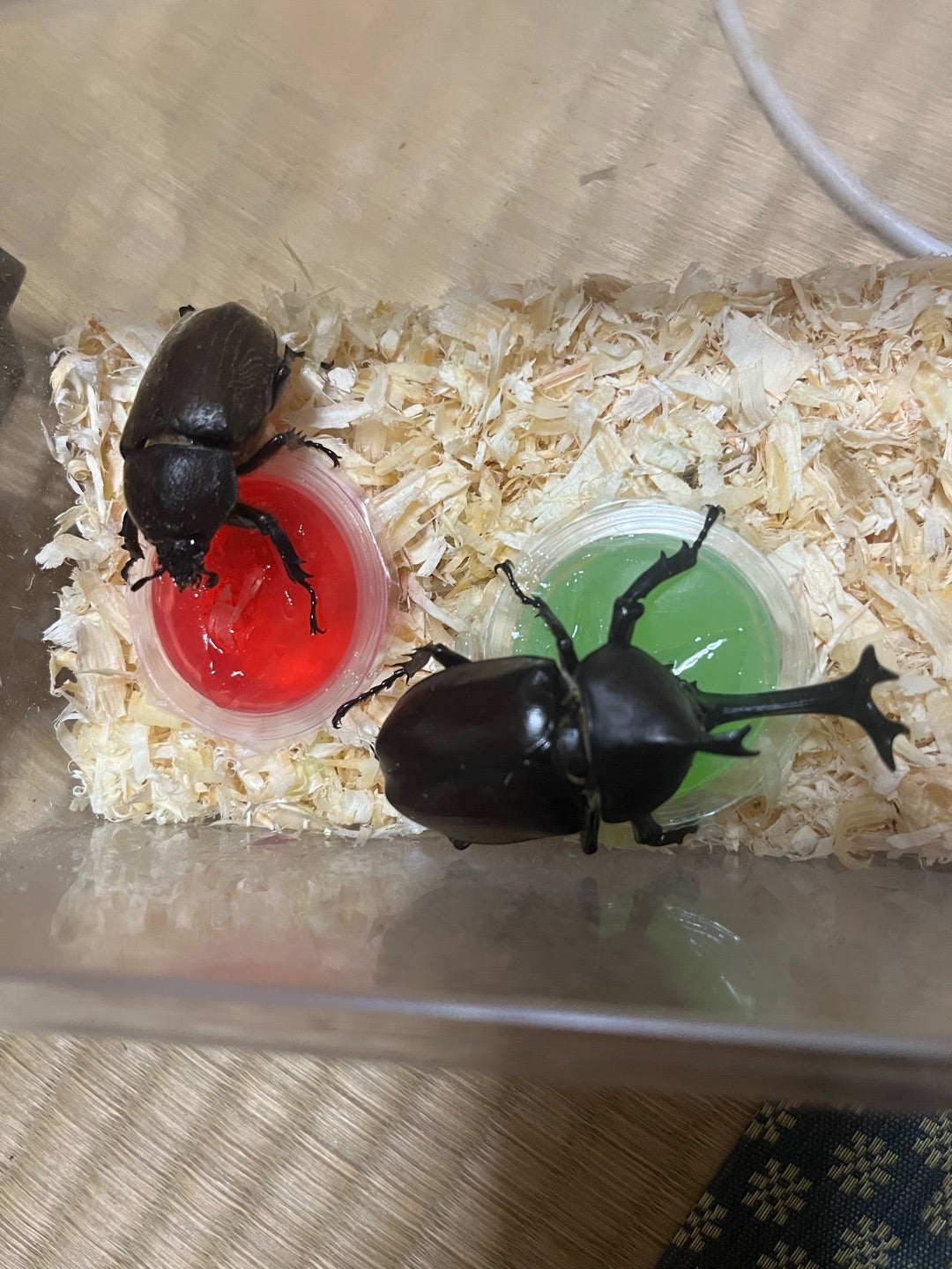 ☆昆虫採集☆虫取り網☆最長7m12cm クワガタムシ・カブトムシの