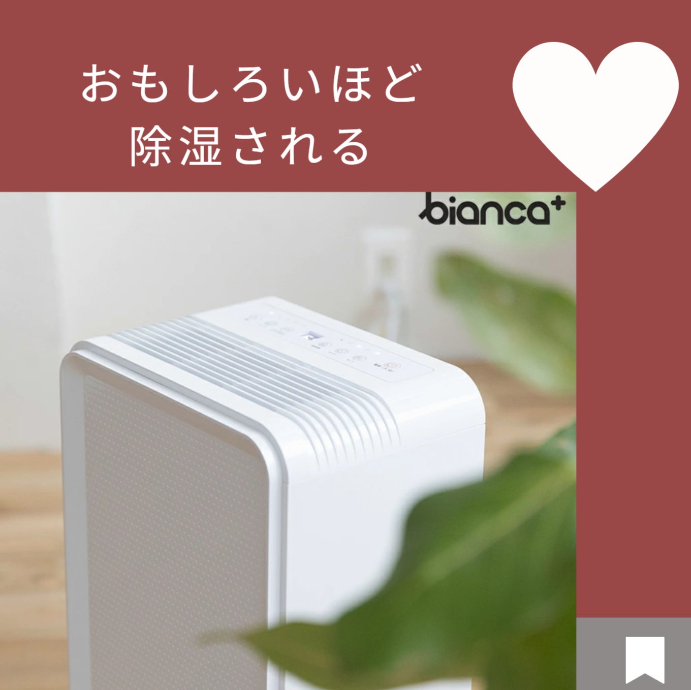 面白いほど除湿される！ブランド物大事な革製品衣類に・・♡「bianca+