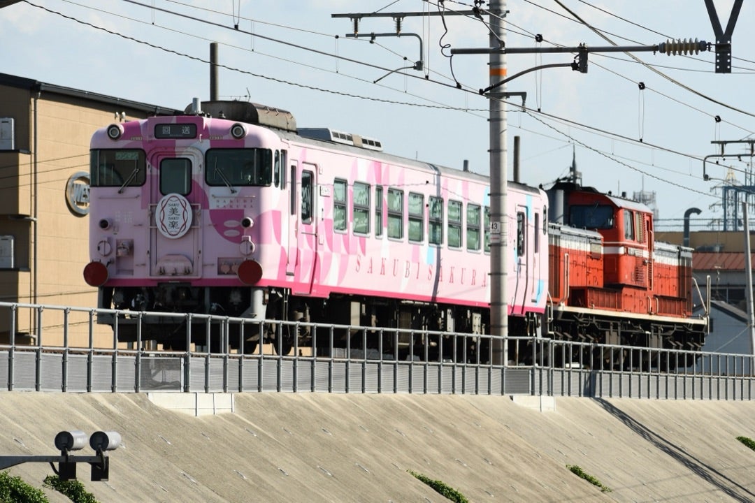 岡山車】キハ40 2049(SAKU美SAKU楽) 京都鉄道博物館展示返却 2024-8/22