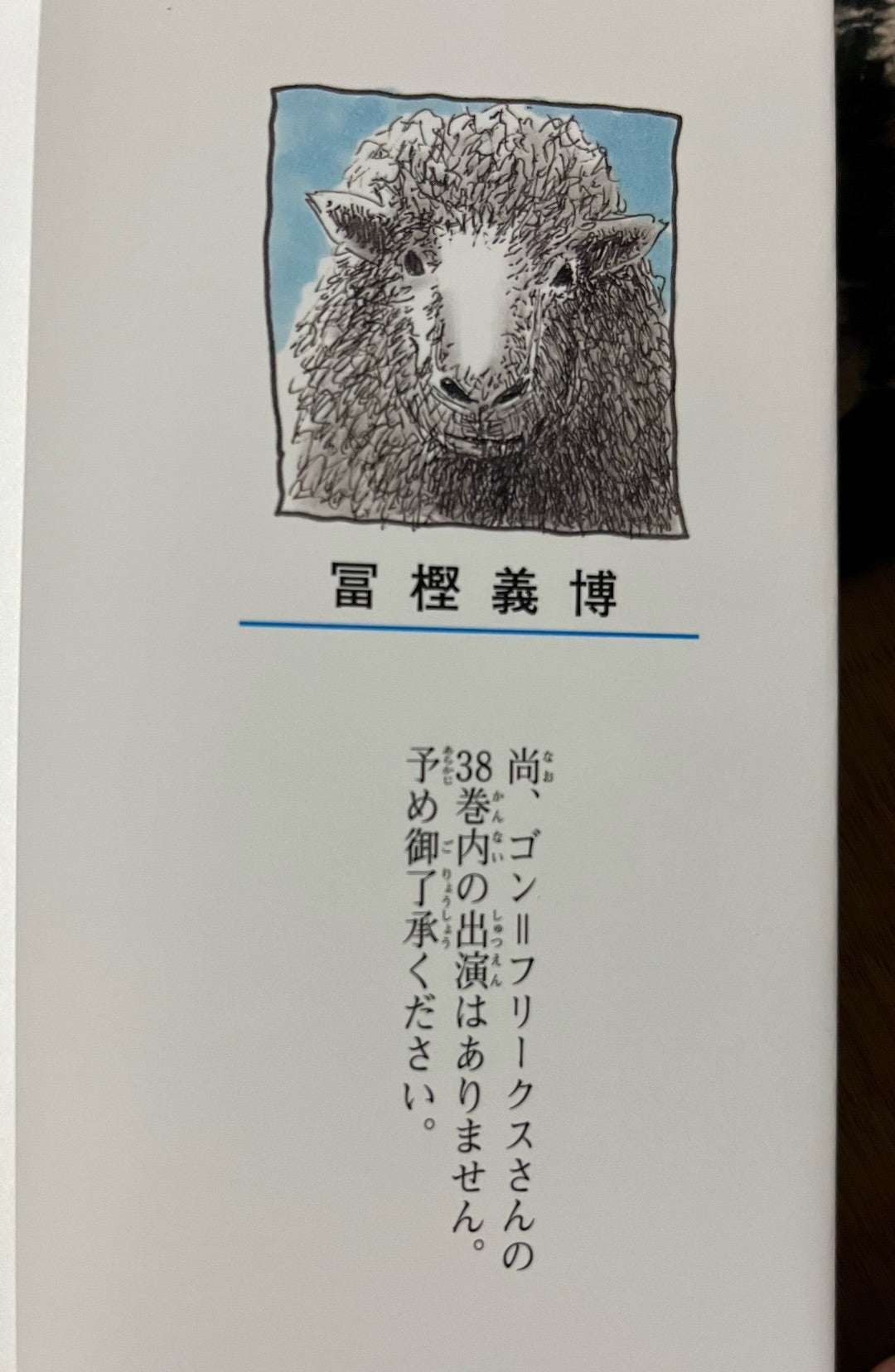 HUNTER×HUNTER 38巻 | カズピー（ツバメの部屋・元管理人）の独り言