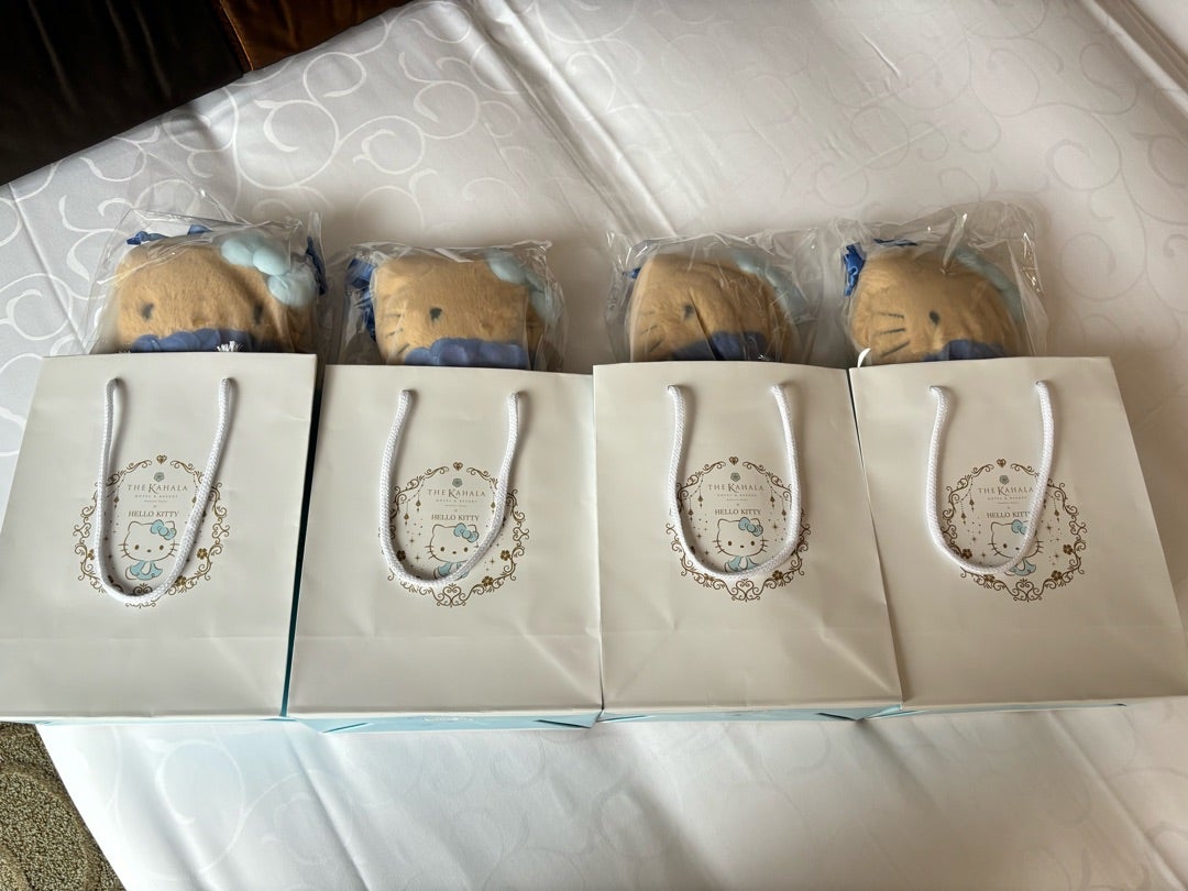 エクシブ限定 ハローキティ エクシブ 限定 エクシブ箱根 ハロー キティ