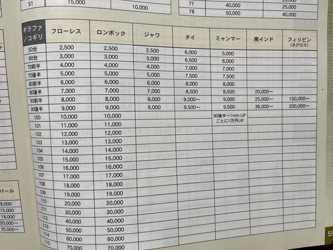 奈良オオクワセンター2006年のカタログ | TARGET FIELD