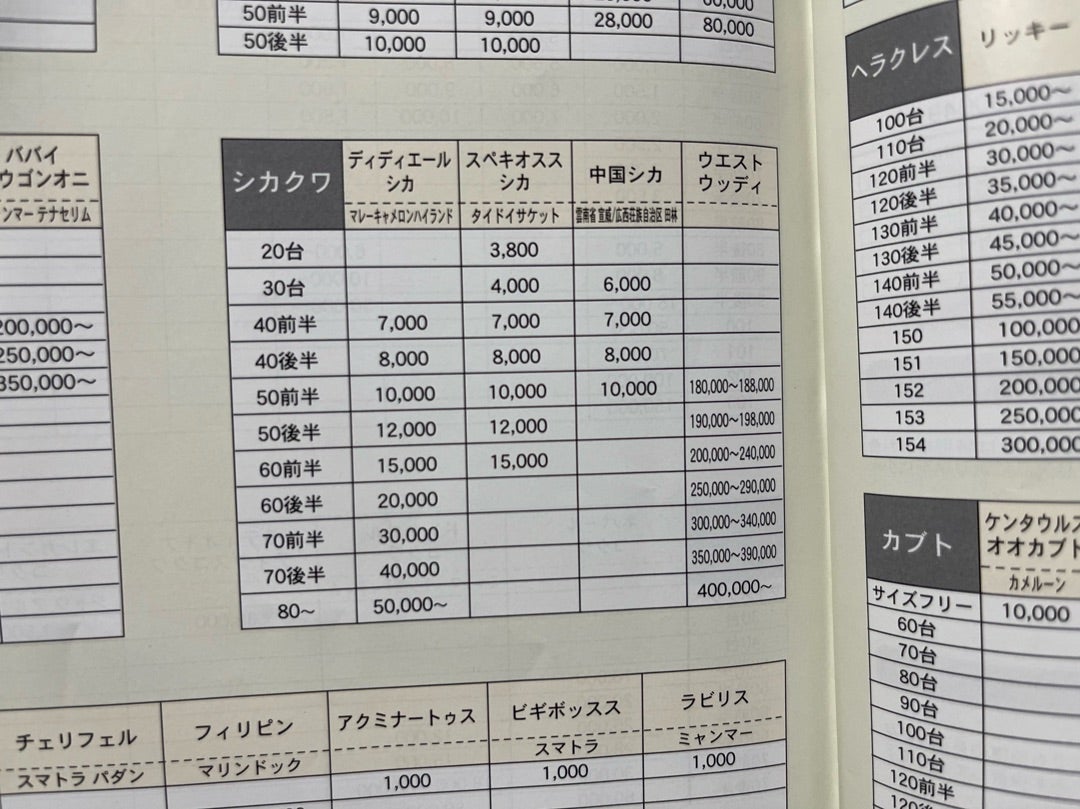 奈良オオクワセンター2006年のカタログ | TARGET FIELD