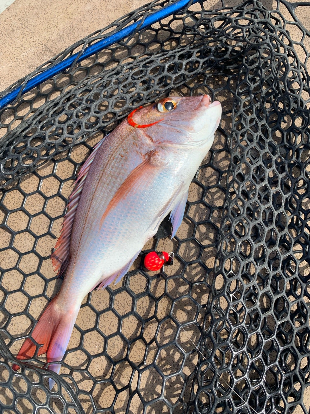 Shimano GAME Type LJ B65-0/FS | 釣りの事を書くブログ