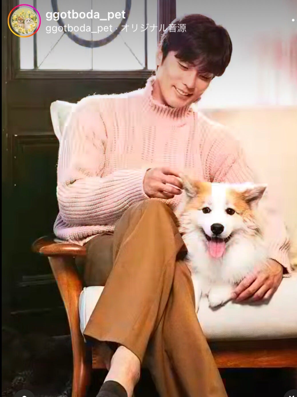 俳優ソンフンと愛犬ヤンヒ 動画 | さくらざかのブログ=SHfanfun