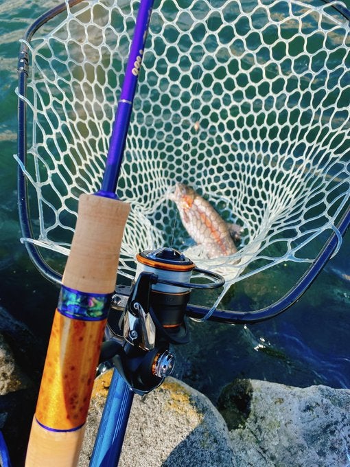 インプレ】初心者がイキってハイエンドロッド使ってみた⑦【ブルー