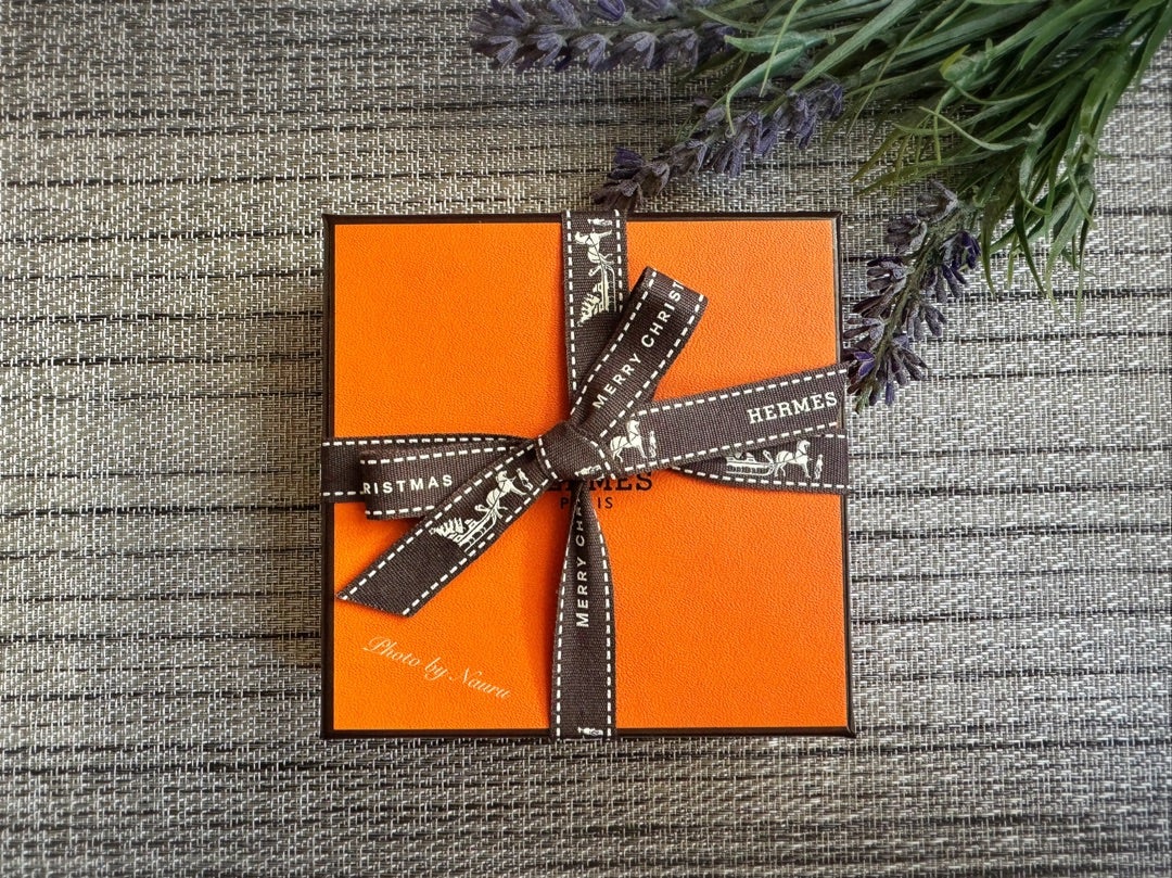 エルメス購入品♡バレッタ | *｡☆ﾟ+ Nauru Blog +ﾟ☆｡*