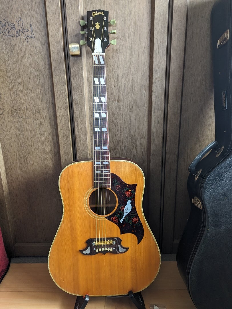 Tomson TGF-351 Gibson DOVEタイプ | ゆずマンのギター説明ブログ