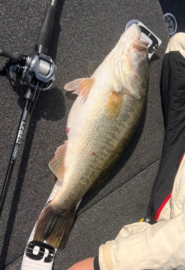 デジーノレーベントルクチューン 610MHRST4S | whitebasser