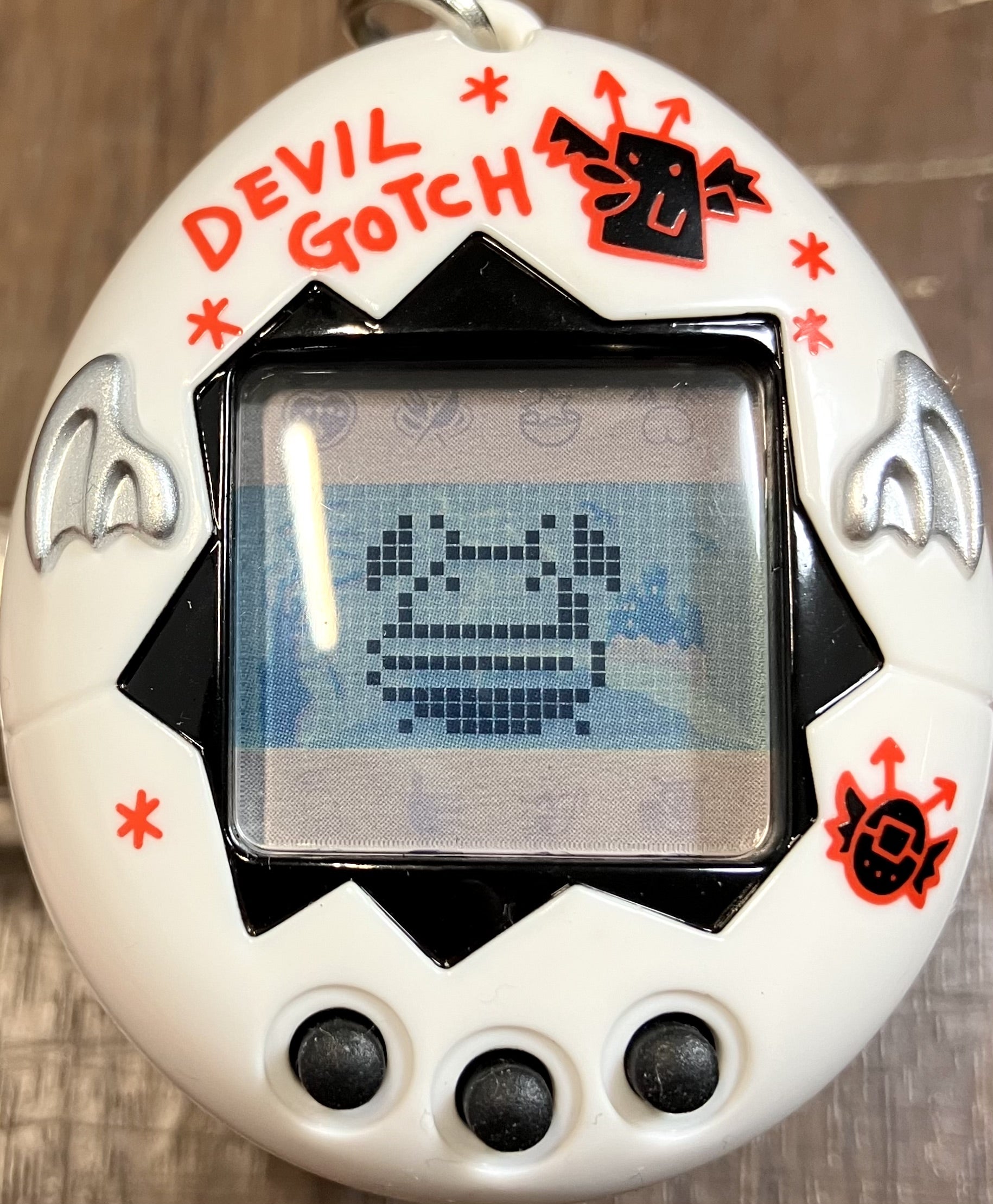 デビルっち】育成スタート | たまラボ