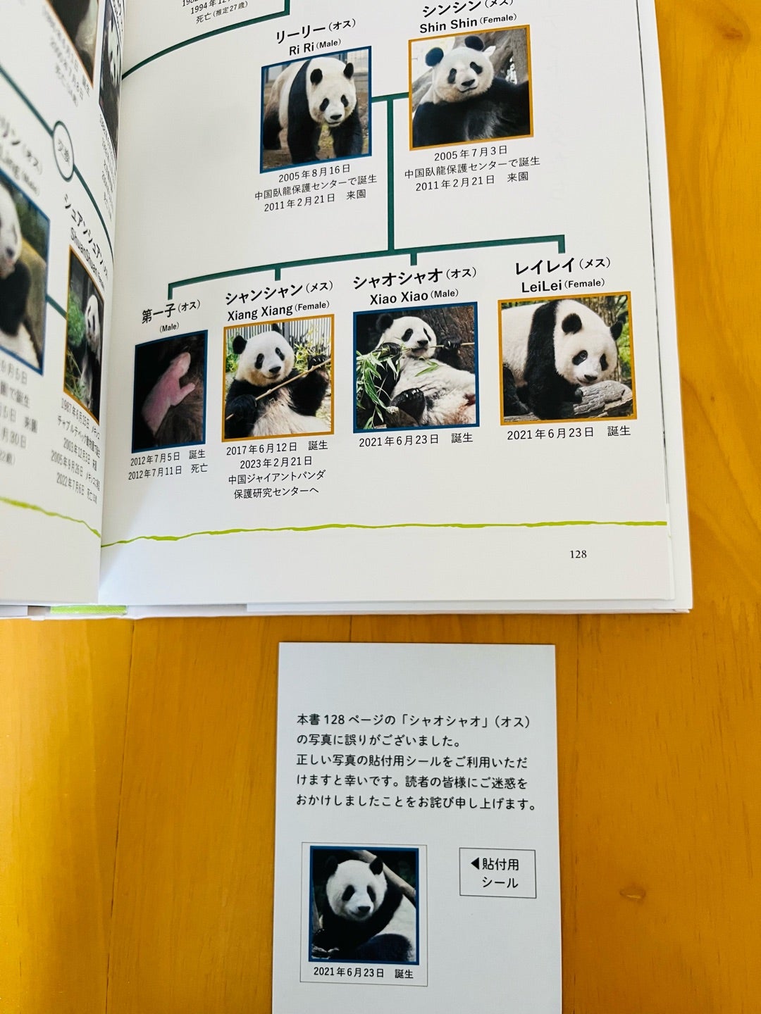希少】上野歴代 パンダ 抄本 つなぐ 上野動物園 ジャイアントパンダの