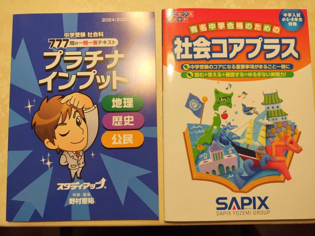 プラチナインプット 2024/2025年版 スタディアップ プラチナインプット