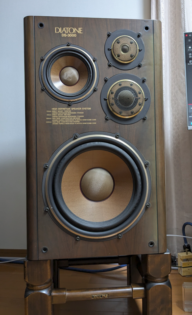 避けては通れなかったDIATONE DS-3000 | No Youtube Music, no life