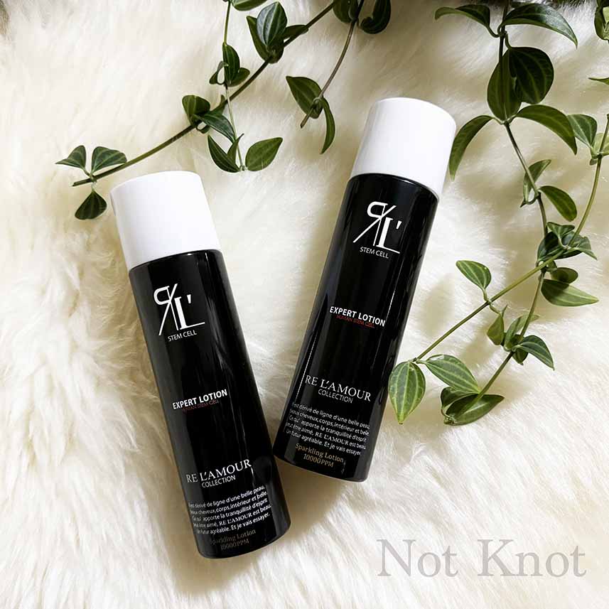 年に一度の特別なリアボーテクリスマスコフレ｜リアボーテ 2024