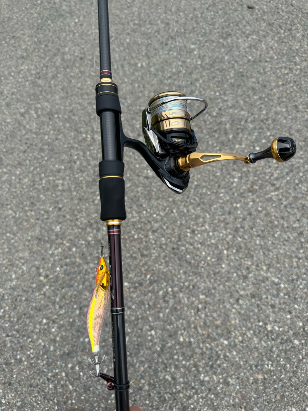 タックルインプレッション】ラグゼ EG-X アルティメイト S86M-solid