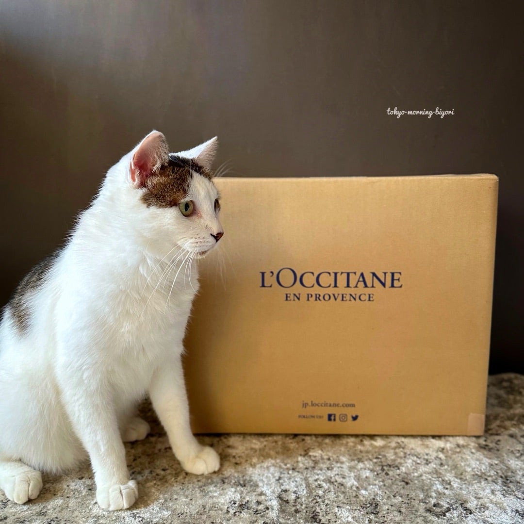 ロクシタンのアドベントカレンダー2024♪ | 東京モーニング日和