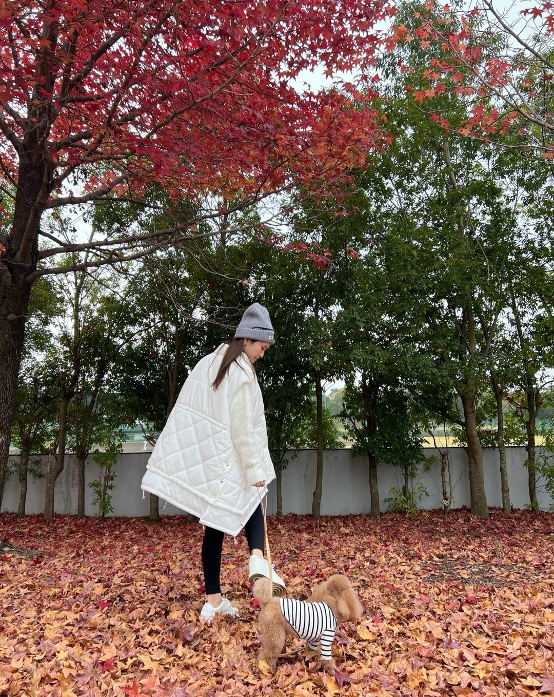 再販のお知らせ！！ | ママだって女の子♡