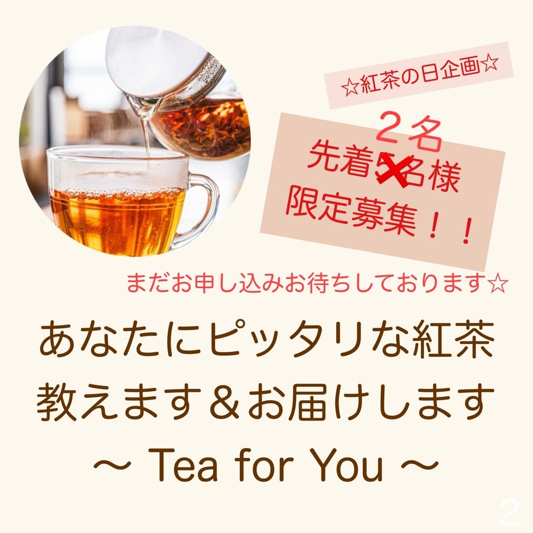 紅茶 愛莉65個 紅茶 愛莉65個 紅茶 愛莉65個 フェアリーテールティー分