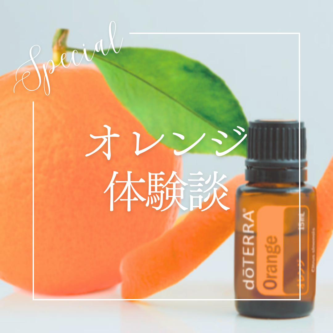 ドテラ オレンジ6本 ドテラ オレンジ6本 ドテラ オレンジ6本 【公式通販】