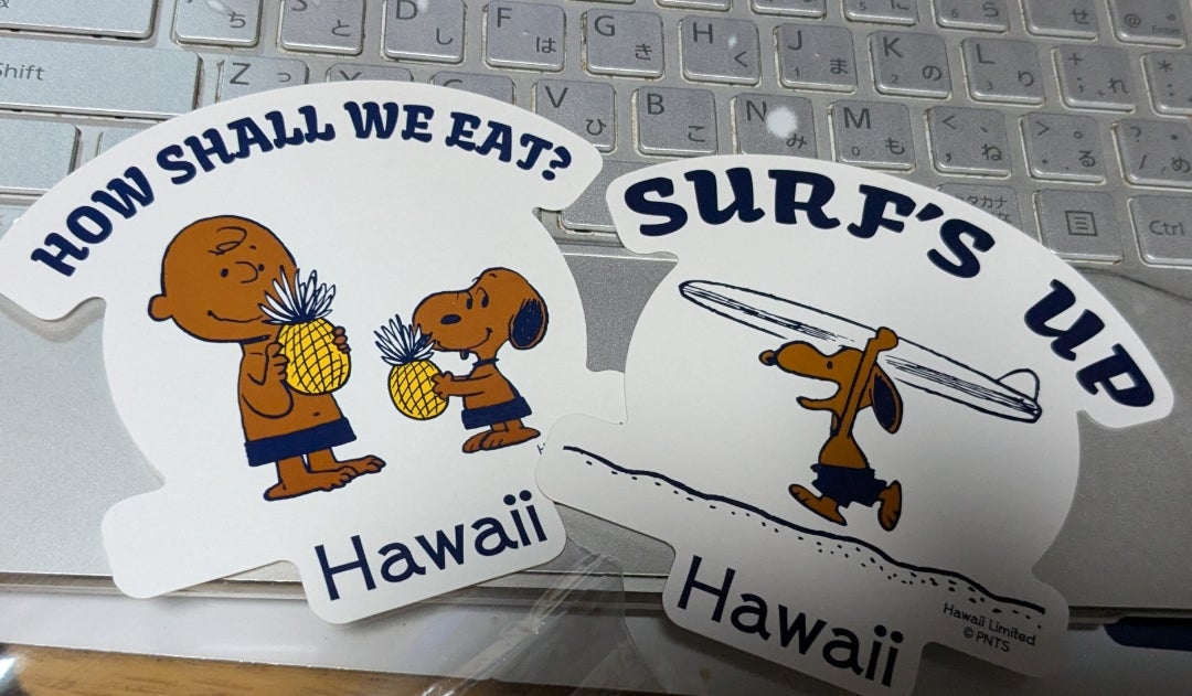 日焼けスヌーピー販売終了 | chokoが出会った不思議な光景