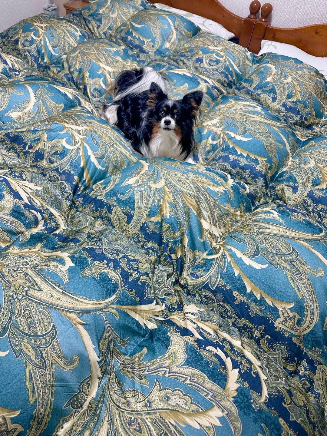 モリリン ハンガリー産ダウン90%羽毛布団 | Mint Green House