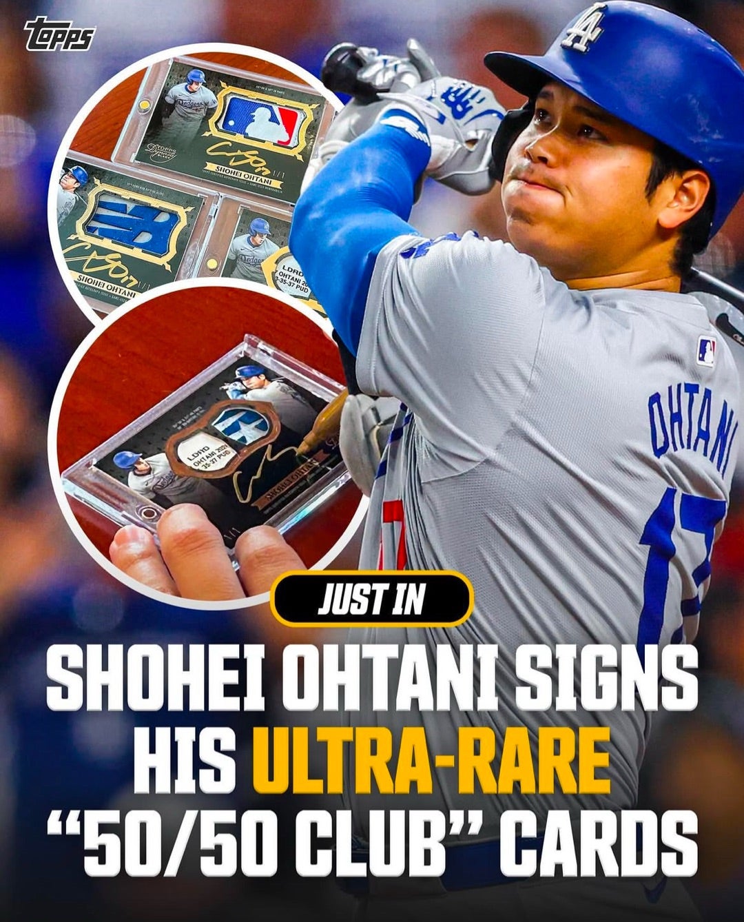 ラスト1枚‼️大谷翔平ファイターズ時代シーズンシート半券チケット