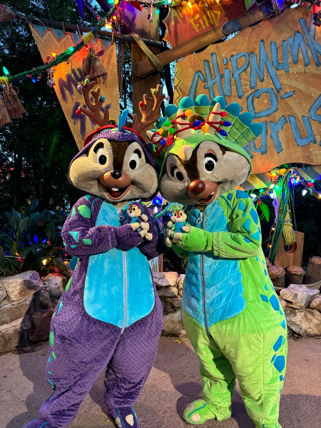 WDWクリスマス①チップとデールに会いに行く | WDWが一番好き