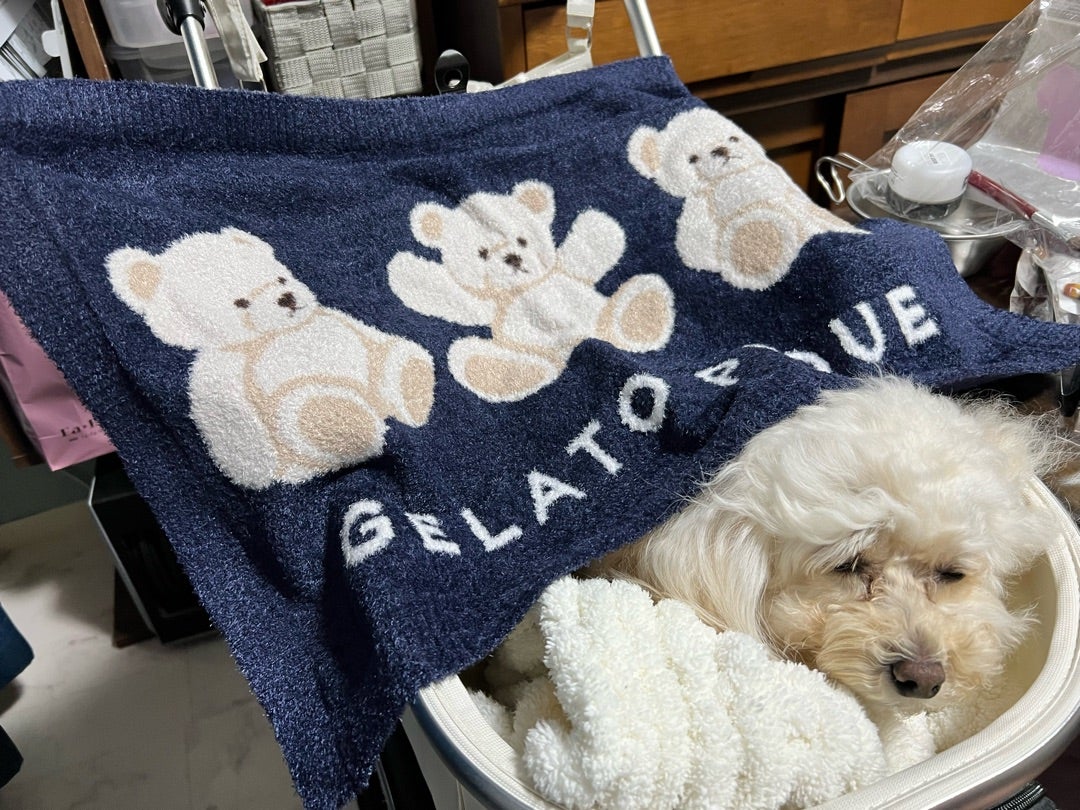 届くのが早い！ジェラピケのブランケット | トイプー人のシェリーと