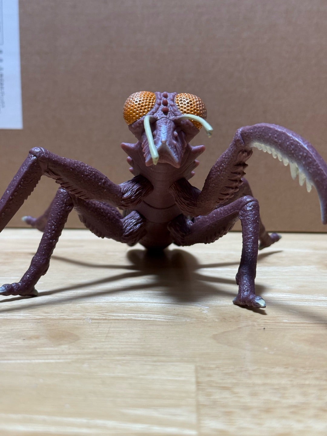 ムービーモンスターシリーズ ドリーム5 2024 ボックスエディション