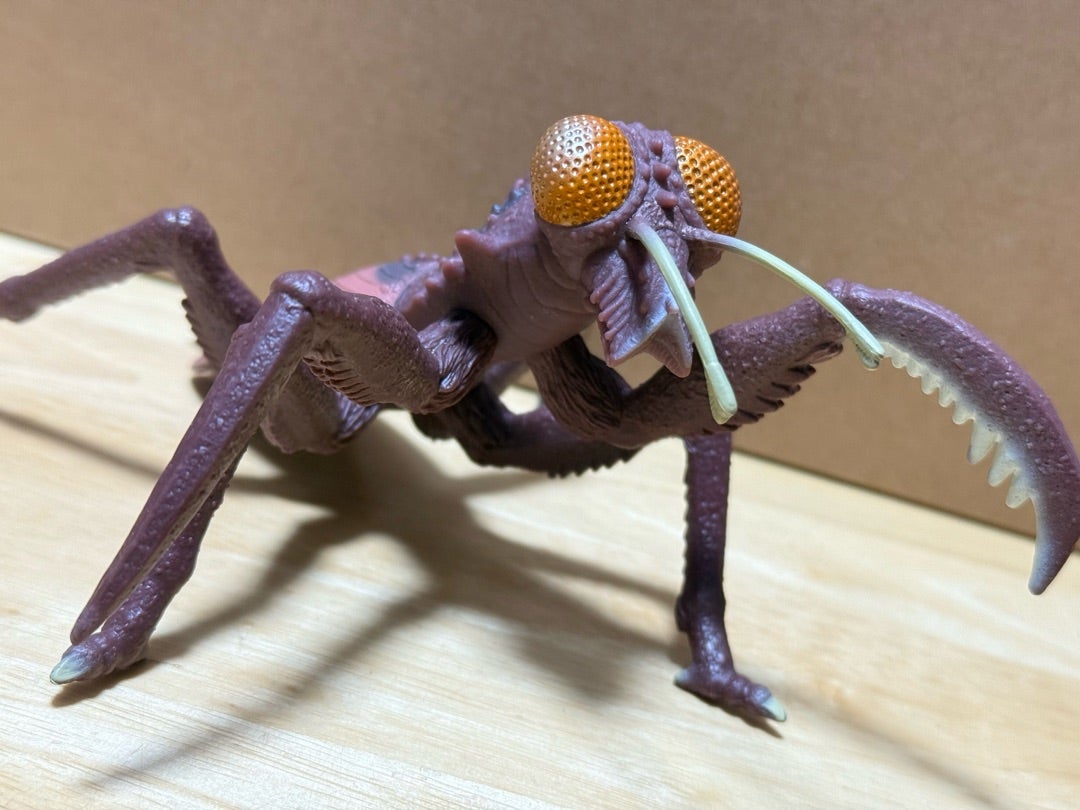 ムービーモンスターシリーズ ドリーム5 2024 ボックスエディション