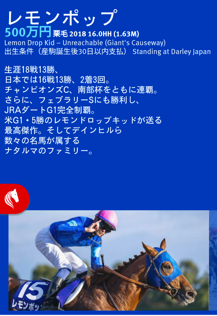 レモンポップ種付料発表（2025年度ダーレー） | RCの馬主生活ブログ