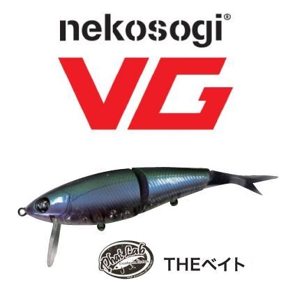 VG＆DSRにオリカラ登場 | 石井館長のバス魂