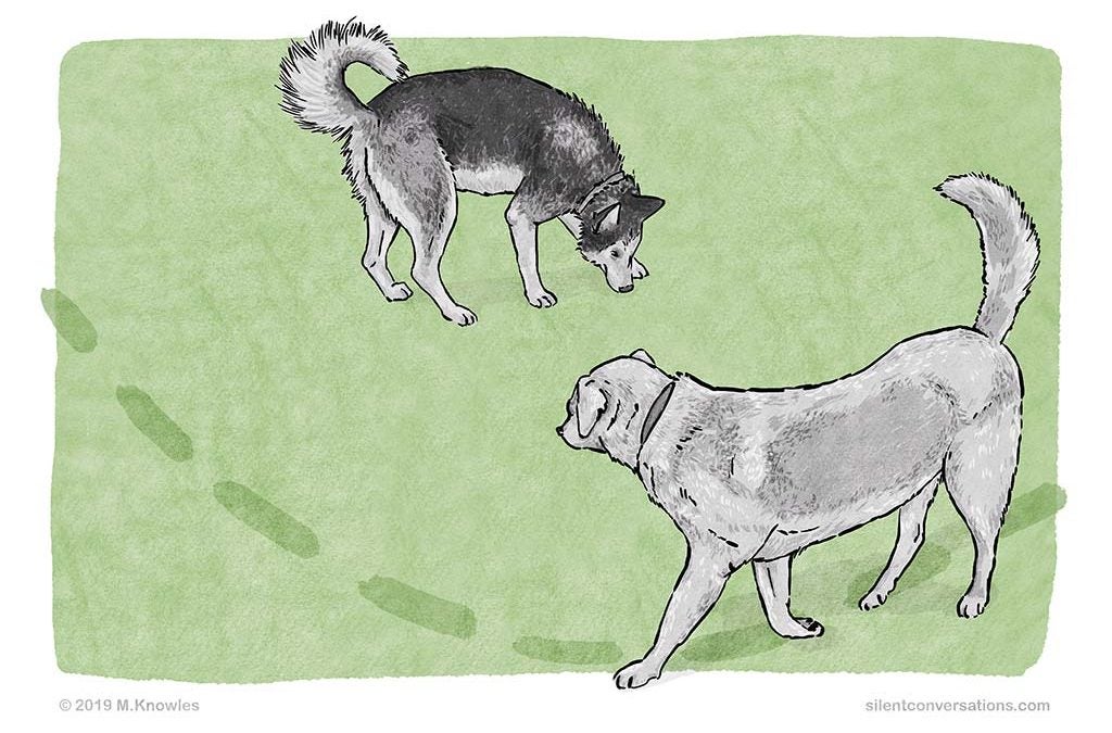 カーミングシグナル | タンタンパパの犬との暮らしガイド