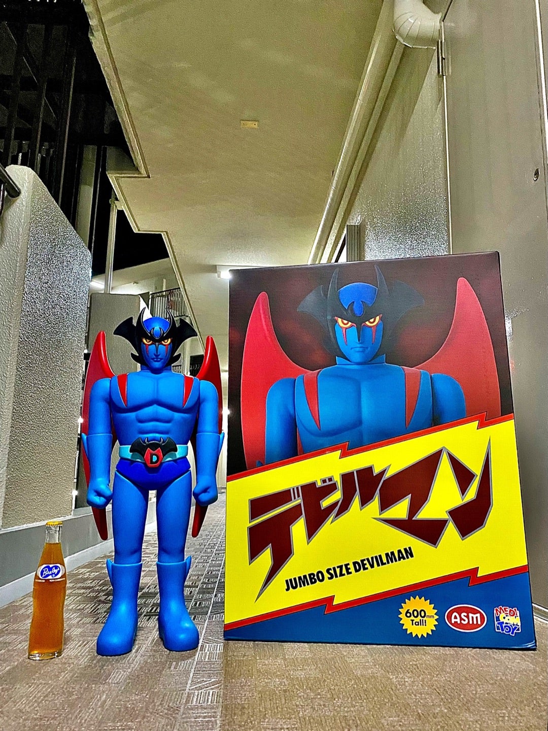 石垣島旅行から深夜に帰宅したら玄関先に待ち構えていた巨大な