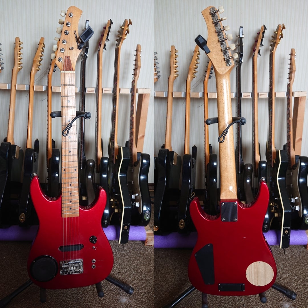 2990円で購入したアンプ内蔵エレキギター(synsonics) | 蜂坊主のブログ