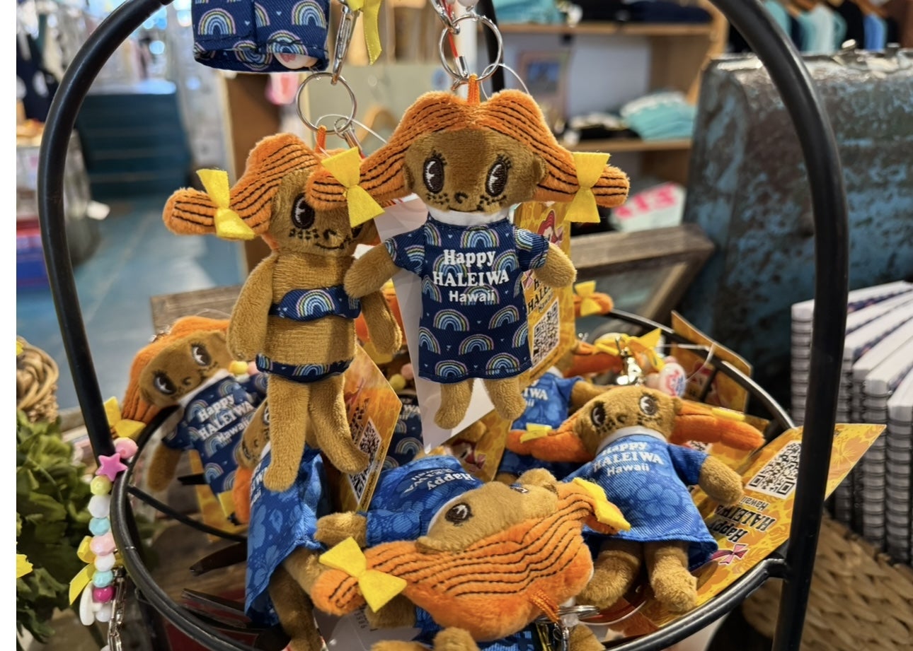 ハレイワの可愛い雑貨屋さん「Happy Haleiwa」！ | カワイイ・ハワイ