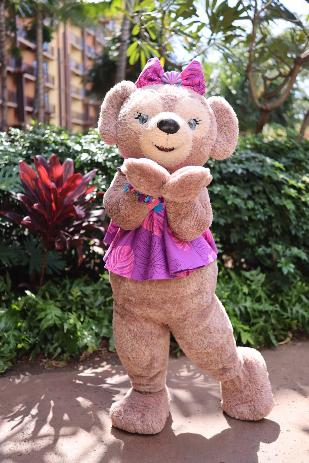 2025.2ハワイ（2日目）④この日会えたキャラ（キセキのコンプ