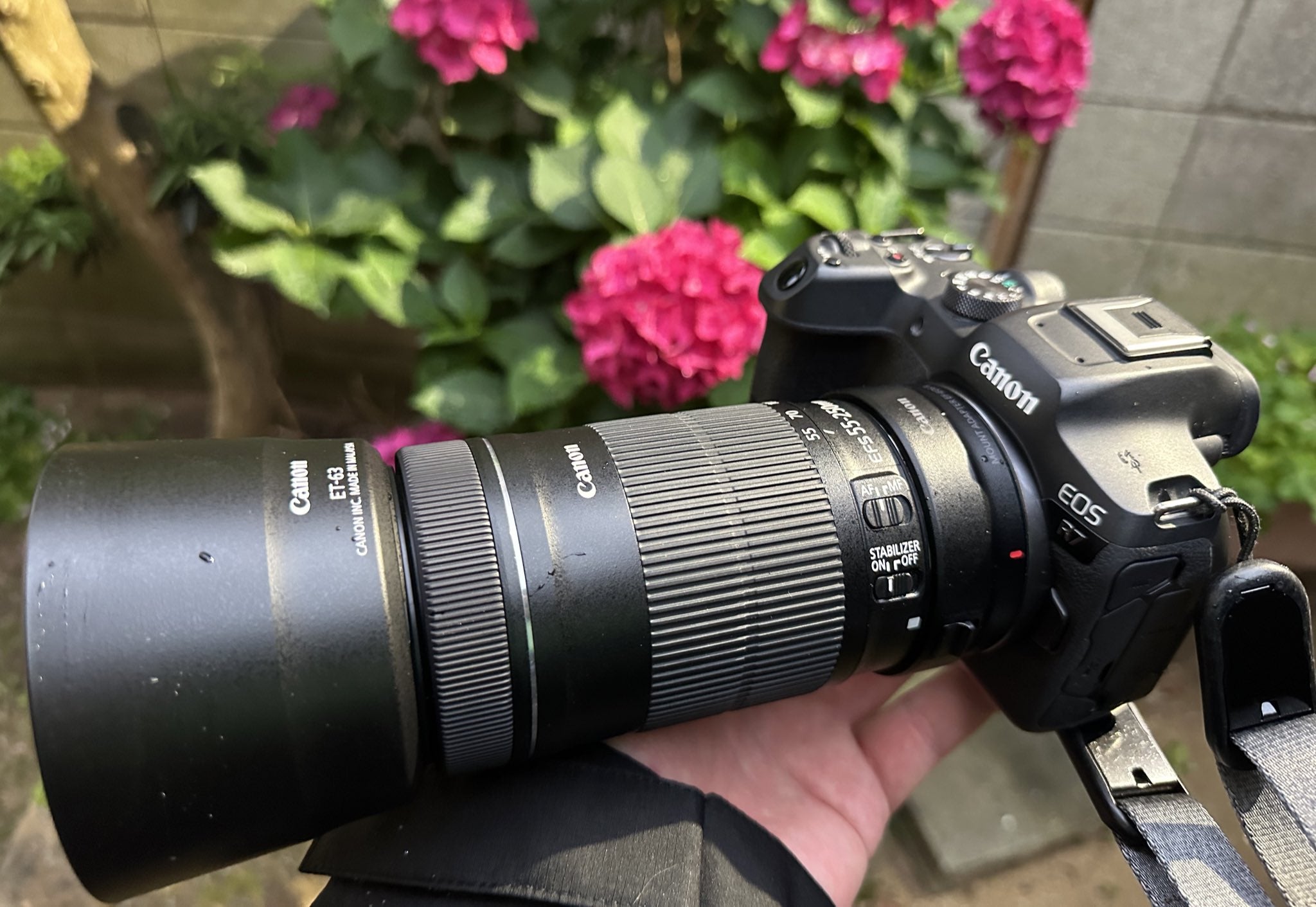Canon】EF-S 55-250mm F4-5.6 IS STM生えた | クラゴン親方の